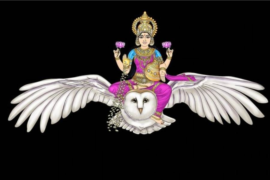 রবিবার লক্ষী পুজো। লক্ষী পুজো বাঙালির ঘরের পুজো। বাঙালিদের প্রায় ঘরে ঘরেই আরাধনা হয় দেবীর। আর এই তিথিতে একটা সাদা ধপধপে লক্ষী প্যাঁচা যদি বাড়িতে এসে বসে তাহলে তো কথাই নেই।