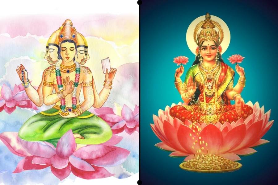 তবে প্যাঁচাই কেন লক্ষীর বাহন এই নিয়ে কিন্তু মতভেদ রয়েছে। এক মতে এক বার সব দেব দেবী এক সঙ্গে মর্তে আসেন। তখন তাঁদের মর্তে পায়ে হেঁটে ঘুরতে দেখে খারাপ লাগে পশু পাখিদের। এবং তাঁরা দেব দেবীদের বলেন আপনাদের হয়ে আমরা ঘুরব।