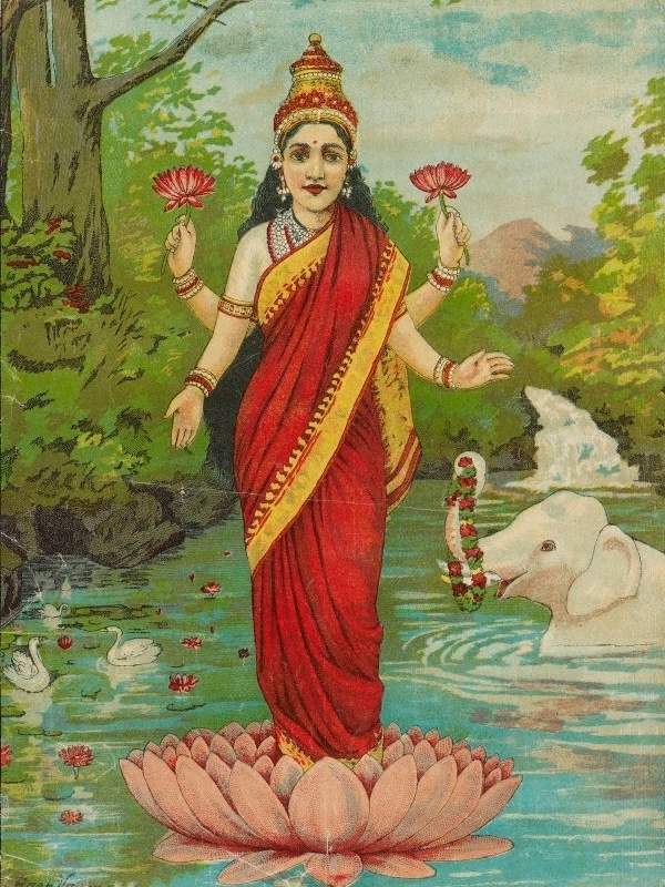 পশু পাখিদের এই প্রস্তাবে রাজি হয়ে যে যার মতো বাহন বেছে নেন। কিন্তু সমস্যা হয় লক্ষীর বাহন বাছার সময়। সবাই তাঁর বাহন হতে চাইলে দেবী বলেন আমি কার্ত্তিক অমাবস্যায় পৃথিবীতে আসি। সেই দিন যে আমার সঙ্গে বিচরণ করবে সেই হবে আমার বাহন।