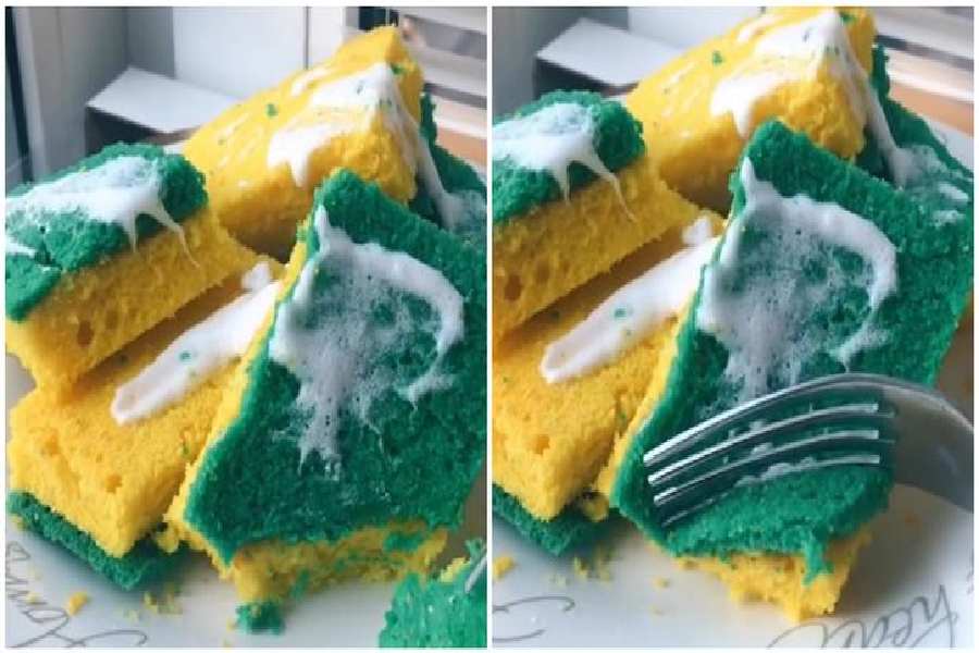 Don't worry about the cake or the saucer sponge, do you taste this special yellow-green cake or not?