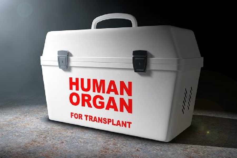 এর পর গ্রাহামকে ফোন করে জানানো হয়, চার্লসটনে এক জন হৃদ্‌যন্ত্রদাতার খোঁজ পাওয়া গিয়েছে। হৃদ্‌যন্ত্রদাতার মৃত্যুর পর তাঁর পরিবারের সদস্যেরা অঙ্গদান করার সিদ্ধান্ত নিয়েছেন বলেও গ্রাহামকে চিকিৎসকরা জানান। ওই হৃদ্‌যন্ত্রদাতা ছিলেন টেরি।