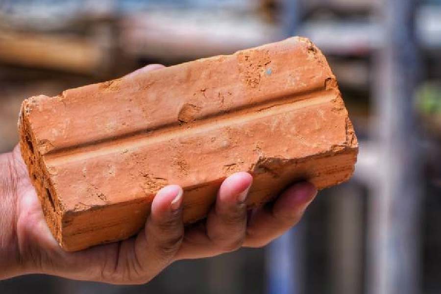 বাড়িতে চিৎকার শুনে ঘরে গিয়ে অয়নকে রোখার চেষ্টা করে বান্ধবীর ভাই। কিন্তু তাঁকে সামলানো যায়নি। এই অবস্থায় দিদি ও মায়ের কথা মতোই ভারী বস্তু দিয়ে অয়নের মাথায় আঘাত করে বান্ধবীর ভাই। এর পরই মাটিতে লুটিয়ে পড়েন অয়ন। পুলিশ সূত্রে এমনটাই জানা গিয়েছে। 