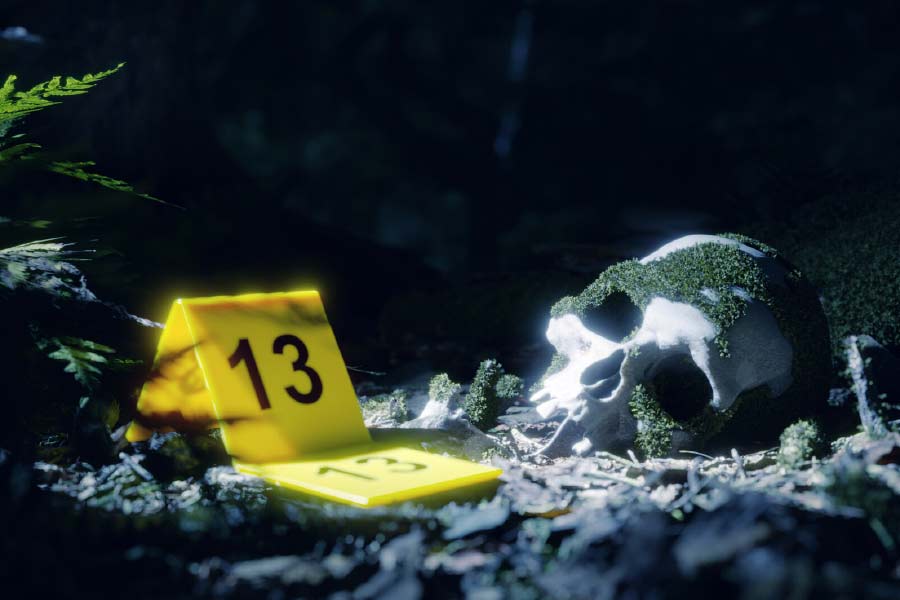 এই সংখ্যাটি ভয় পাওয়ার একটি বিশেষ নামও রয়েছে। প্রাচীন গ্রিক ভাষায় এটি ‘ট্রিসকাইডেকাফোবিয়া’ নামে পরিচিত। স্টিফেন কিং, ফ্রাঙ্কলিন রুজভেল্ট-সহ বহু নামী ব্যক্তির এই ভীতি ছিল।