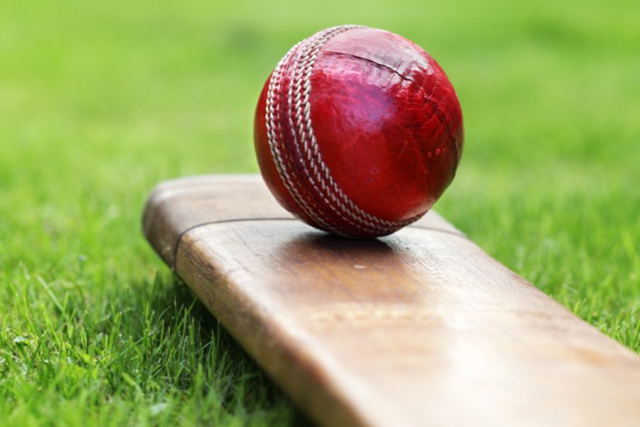 representative image of cricket