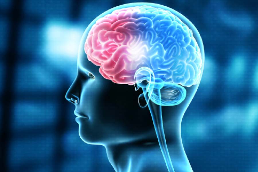 গ্ল্যাটার আরও জানান, দীর্ঘ সময়ের হিকির কারণে ক্যারোটিড ধমনীর উপর সরাসরি চাপ পড়তে পারে। এর ফলে রক্তনালির দেওয়াল ছিঁড়ে যেতে পারে এবং রক্ত জমাট বেঁধে যেতে পারে। এই জমাট বাঁধা রক্ত মস্তিষ্কে গিয়ে ব্রেন স্ট্রোকের দিকে ঠেলে দিতে পারে।