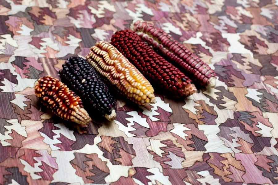 সিডি, বই বা ডেটার লাইব্রেরির মতো ‘মেটেরিয়াল’-এর একটি লাইব্রেরি গড়ে তুলেছেন শুভি। গবেষণাগার থেকে কারখানা, মল থেকে শ্যুটিংয়ের সেট— সব জায়গা থেকে বর্জ্য কুড়িয়ে আনেন শুভি। এমনকী লোকজনের বাড়ি থেকেও নোংরা কুড়িয়ে এনে জমা করেন নিজের লাইব্রেরিতে। 