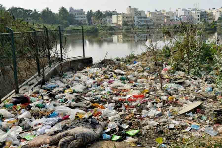 A Photograph representing Waste Pollution