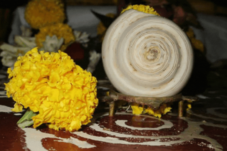 সাদা ফুল নয়, লাল, হলুদ, গোলাপি রঙের ফুল ব্যবহার করা হয় লক্ষ্মী পুজোয়। তবে লক্ষ্মীর আরাধনা করা হয় শ্বেতপদ্ম ও শ্বেত চন্দন দিয়ে।