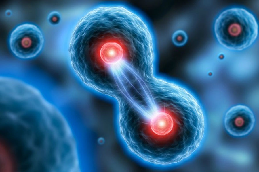 ম্যাসাচুসেটস ইনস্টিটিউট অফ টেকনোলজির বিজ্ঞানী ম্যানোলিস কেলিস জানান, মানবদেহের কোষের মধ্যে উপস্থিত অণু-পরমাণু স্তরে যে সমস্ত প্রক্রিয়া অনবরত চলতে থাকে, তার সম্পর্কে স্পষ্ট ধারণা থাকা দরকার।