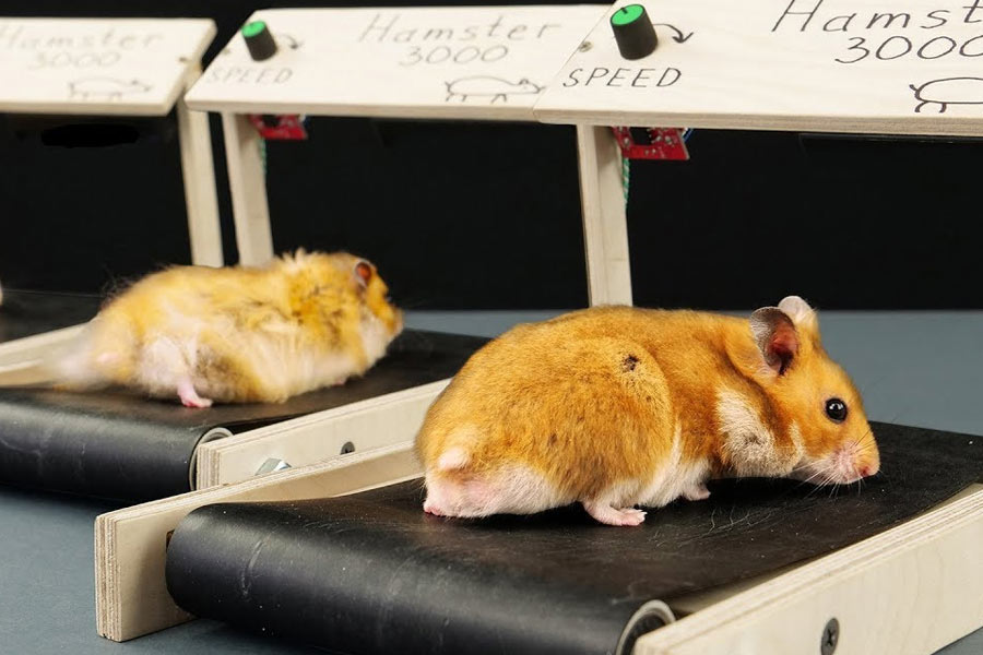 এই ওষুধ প্রয়োগের ফলে স্টেম কোষে ফ্যাট জমার ক্ষমতা কমে যায়। প্রাথমিক স্তরে পরীক্ষা সফল হওয়ার পর মানবদেহে এর অন্য রকম প্রভাব পড়বে কি না, তা জানতে রক্তকোষের উপর পরীক্ষা করবেন বলে সিদ্ধান্তও নিয়েছেন বিজ্ঞানীরা।