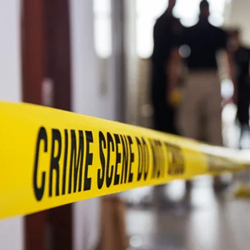 বস্তুত, ত্রিকোণ প্রেম আর তাকে কেন্দ্র করে ভয়াবহ অপরাধের ঘটনা নতুন নয়। আগেও এমন বেশ কিছু নজির রয়েছে এ দেশেই। এক নারীকে কেন্দ্র করে দুই পুরুষের বচসা, কিংবা এক পুরুষকে কেন্দ্র করে দুই নারীর দ্বন্দ্ব— প্রায় প্রতি বারই ত্রিকোণ প্রেমের পরিণতি হয়েছে ভয়ানক। ২০১৭ সালে পঞ্জাবের পটিয়ালায় ডিজে (ডিস্ক জকি) নাহিদের মৃত্যুও রীতিমতো শোরগোল ফেলে দিয়েছিল। নেপথ্যে ছিল সেই ত্রিকোণ প্রেম।