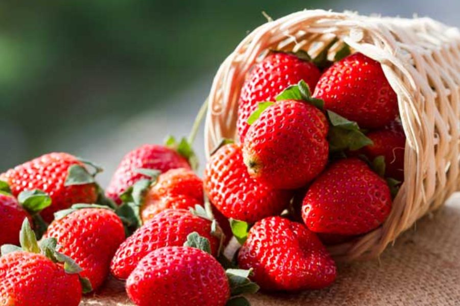 স্ট্রবেরি রক্তচাপ কমানো ও প্রদাহ রুখতেও বেশ কার্যকর।