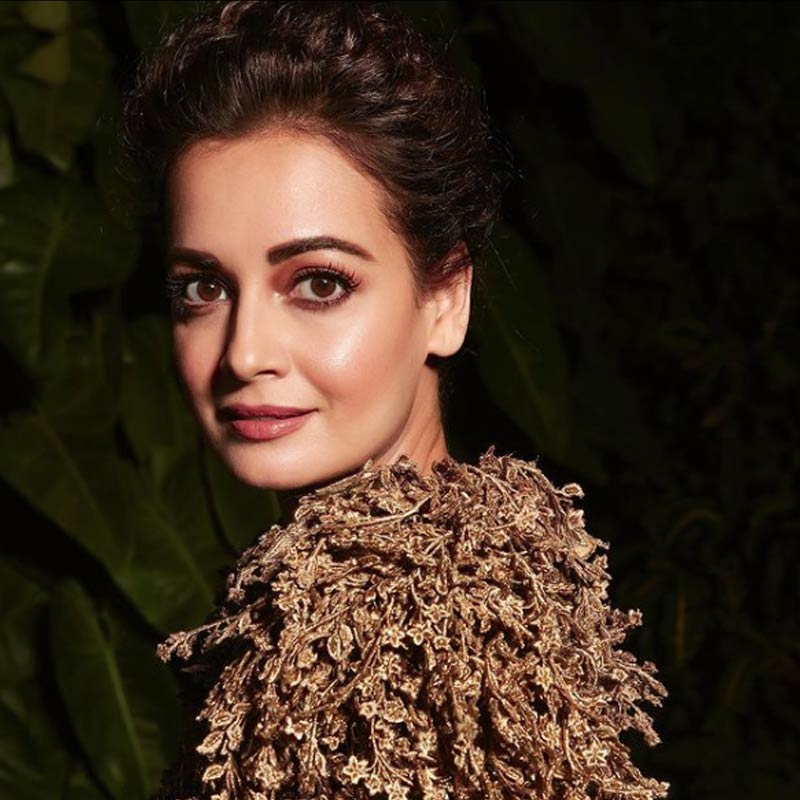 একই বছরের মে মাসে প্রথম সন্তানের জন্ম দেন দিয়া। বিয়ের কয়েক মাসের মধ্যেই সন্তান জন্মের খবর প্রকাশ্যে আসায় অবাক হন সকলেই। যদিও এই প্রসঙ্গে অভিনেত্রী জানান, সন্তান জন্ম দেওয়ার সময় তাঁর শারীরিক সমস্যা দেখা দিয়েছিল।