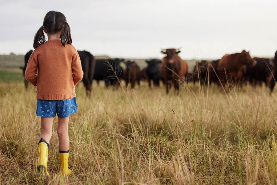 অ্যান্ডি তাঁর বাড়ির সামনের মাঠে গরু চরাচ্ছিলেন। তখনই দেখতে পান, সোনালি রঙের একটি বেলুন। বেলুনের সঙ্গে একটি কার্ড বাঁধা। কার্ডটি খুলে পড়েন তিনি। আর তার পরেই ঘটে অবাক কাণ্ড।