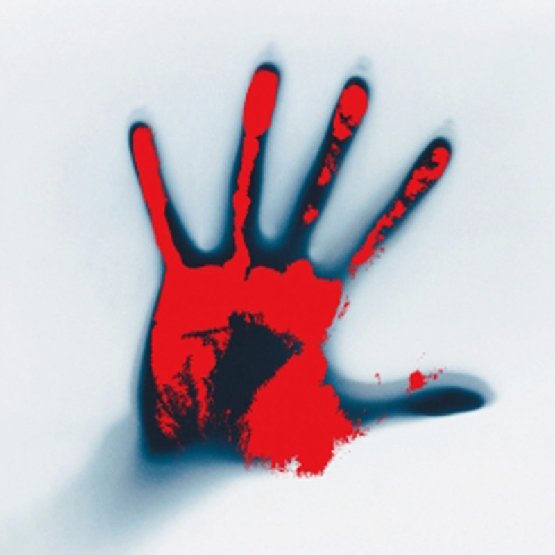 ত্রিকোণ প্রেমের জটিলতা থেকে অপরাধ নতুন নয়। অয়নের আগেও এমন নৃশংস খুনের নজির রয়েছে এ দেশেই। ২০০৮ সালের নীরজ গ্রোভার হত্যার ঘটনাও ছিল শিউরে ওঠার মতো।