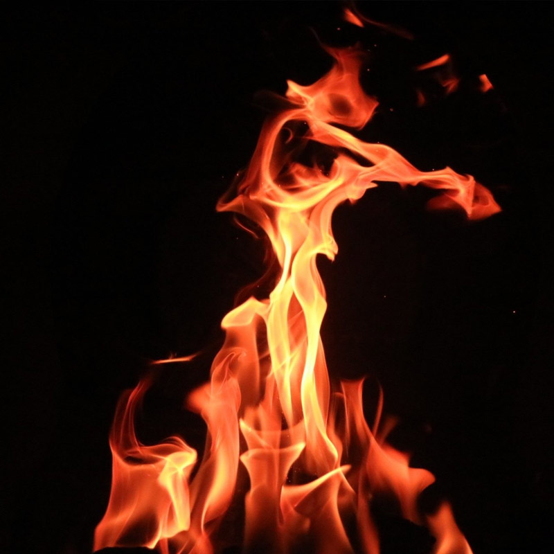 টুকরো করা মৃতদেহ একটি ব্যাগে ভরে গাড়ি করে নিয়ে যান দূরের এক জঙ্গল এলাকায়। ব্যাগে পেট্রল ঢেলে সেখানেই আগুন ধরিয়ে দেন তাঁরা। 