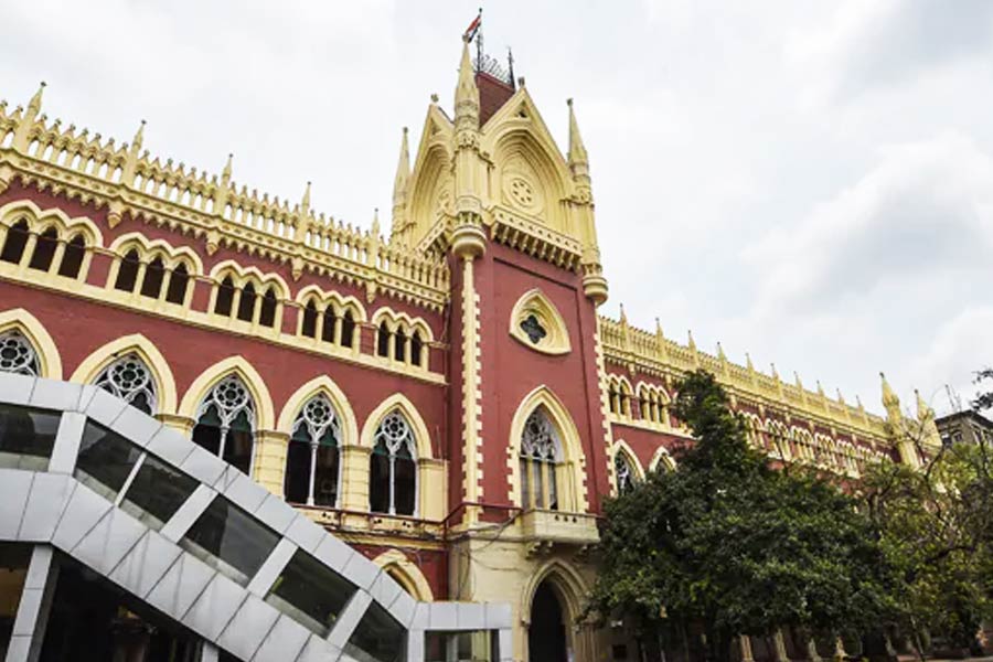 হাই কোর্ট কেন্দ্রীয় তদন্তকারী সংস্থা সিবিআইকে নিয়োগ দুর্নীতি মামলায় তদন্তভার দিয়েছিল। হাই কোর্টের নির্দেশ ছিল প্রয়োজনে মানিককে গ্রেফতারও করতে পারে সিবিআই। টেট-কাণ্ডে কলকাতা হাই কোর্টের নির্দেশকে চ্যালেঞ্জ করে সুপ্রিম কোর্টে গিয়েছিলেন প্রাথমিক শিক্ষা পর্ষদের অপসারিত চেয়ারম্যান মানিক।