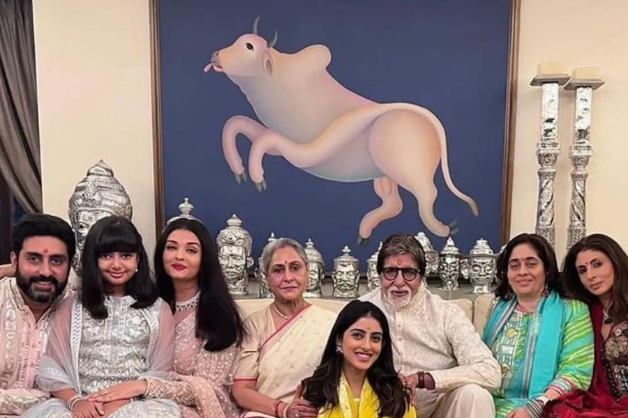 অমিতাভ বচ্চনের ‘জলসা’ বাড়িটির বসার ঘরের দেওয়ালে একটি সাদা ষাঁড়ের ছবি রয়েছে। এই ছবিটি এঁকেছিলেন মনজিৎ বাওয়া। সংবাদ সংস্থা সূত্রের খবর, এই ছবির দাম চার কোটি টাকা।