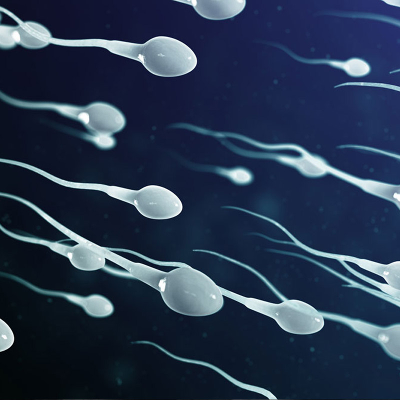 রাশিয়ার রস্তভ-ন-ডন শহরে থাকতে শুরু করেন চিকালিতো। সেখানে ফেওদোসিয়া নামের এক তরুণীর সঙ্গে তাঁর বিয়ে হয়। তাঁদের দুই সন্তানও জন্মায়। এক সাক্ষাৎকারে চিকালিতো জানিয়েছিলেন, স্ত্রীর যৌনাঙ্গে আঙুল দিয়ে নিজের বীর্য প্রবেশ করিয়েছিলেন তিনি। 