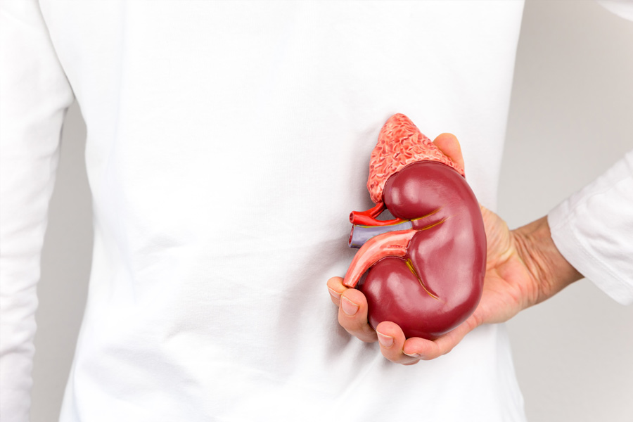 অনেক ভেবে ঠিক করেন, মেয়ের পড়াশোনার খরচ জোগাতে নিজের কিডনি বিক্রি করে দেবেন তিনি। কিডনি বিক্রি করে তিনি যা টাকা পাবেন, তা তিনি রেখে দেবেন। এই টাকায় তাঁর মেয়ের সারা জীবনের পড়াশোনার খরচ চলে যাবে।