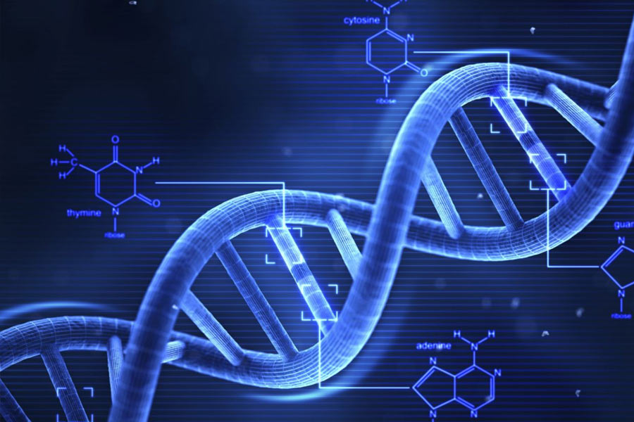 তাঁদের আরও ধারণা, এই সকল প্রজাতির জিনগত উপাদান পরীক্ষা করলে কোনও নতুন তথ্য সামনে আসতে পারে।