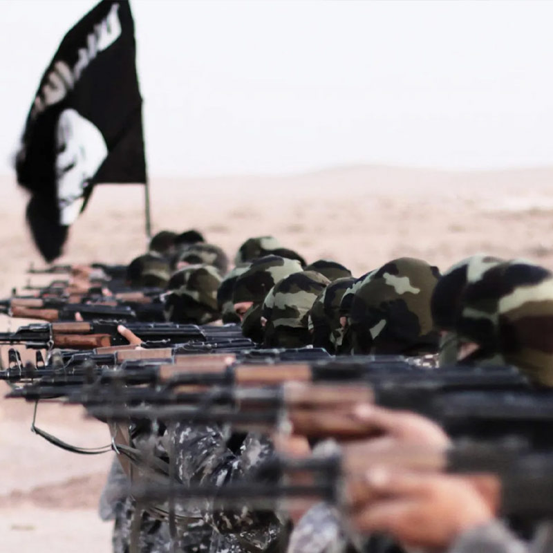 বুলডোজ়ারের যে সমস্ত ছবি পাওয়া যায় তার বেশির ভাগেই দেখা গিয়েছে তাঁর হাতে রয়েছে ৫২ কেজি ওজনের একটি ‘অ্যান্টি এয়ারক্র্যাফ্ট গান’। যা অন্য সময় একটি গাড়ির উপর রাখতে হয়। 