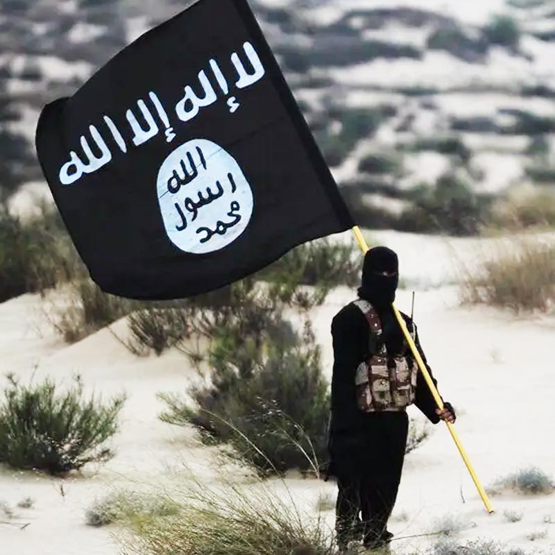 ১২৭ কেজি ওজনের চরম নৃশংস এই জঙ্গি শেষ পর্যন্ত সিরিয়ার বাহিনীর হাতে ধরা পড়েন। এখন তিনি জীবিত না মৃত তা জানা যায়নি। ঠিক যেমন আজও অজানা দ্য বুলডোজ়ারের আসল নাম কী।