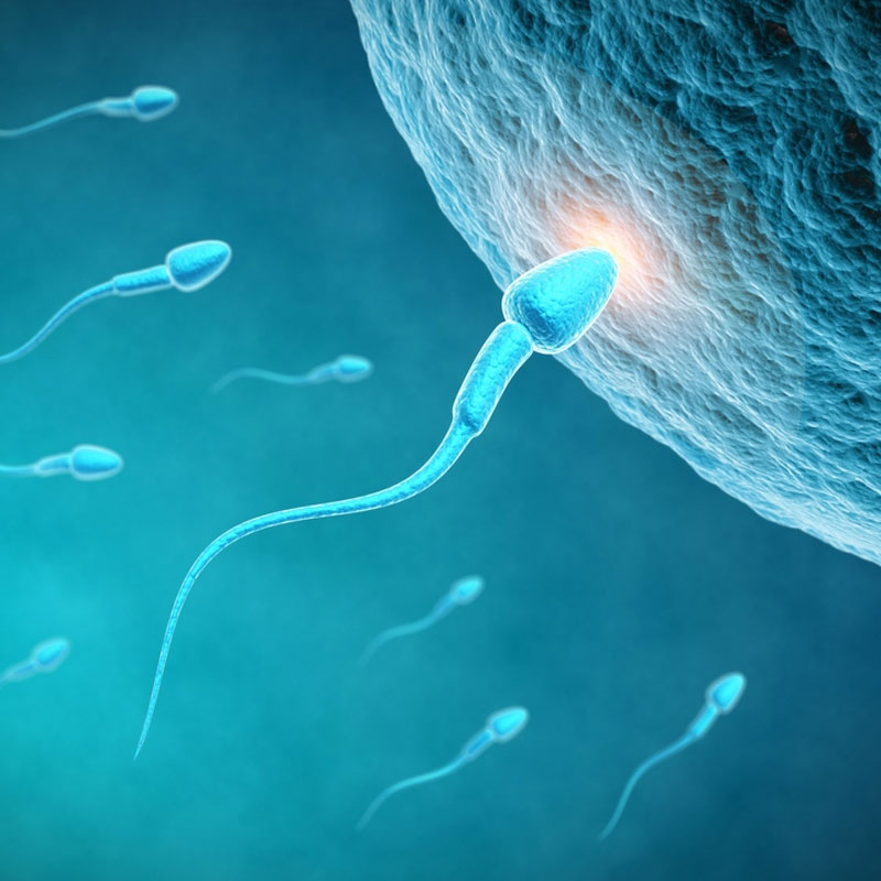 ১৫ জন সন্তানদের মধ্যে সকলের মধ্যেই এই চারিত্রিক বৈশিষ্ট্য লক্ষ করা গিয়েছে। কোনও নতুন জিনিস শিখতে সাধারণের তুলনায় অনেক বেশি সময় লাগে তাদের।