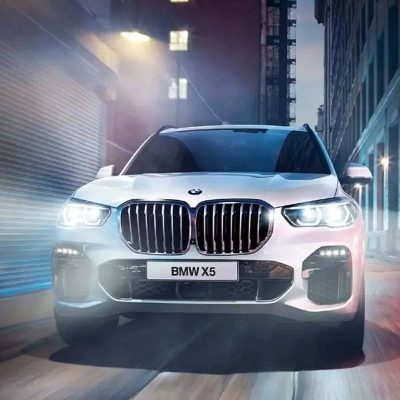 জাহ্নবী তাঁর সংগ্রহে বিএমডব্লিউ এক্স-৫ সিরিজ়ের মডেল কিনে রেখেছেন।