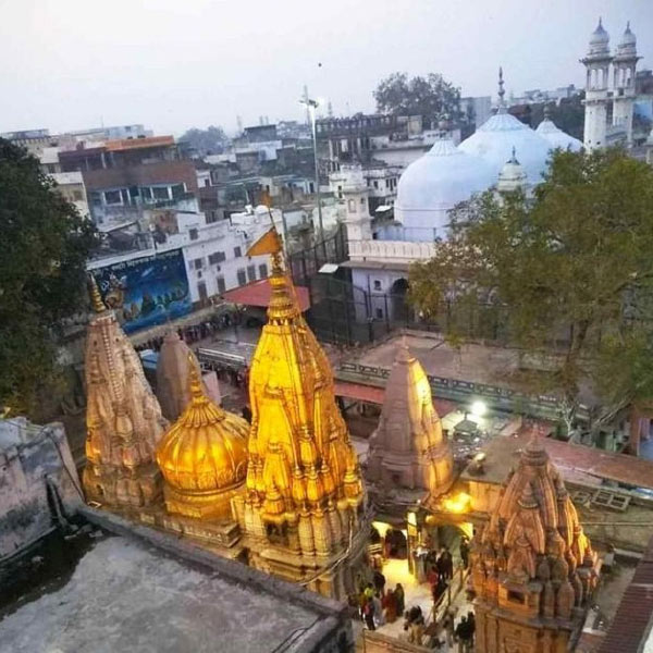 বিশেষজ্ঞেরা জানাচ্ছেন, পরিবেশ থেকে এই দুই ধরনের কার্বন আইসোটোপই গ্রহণ এবং ত্যাগ করে প্রাণী বা উদ্ভিদ। মৃত্যুর পরে সেই প্রক্রিয়া বন্ধ হয়। কার্বন-১২ আইসোটোপের ক্ষয় হয় না। কিন্তু কার্বন-১৪ আইসোটোপ তেজস্ক্রিয়। ৫,৭৩০ বছর পরে কার্বন-১৪-এর পরিমাণ অর্ধেক হয়ে যায়। একেই বিজ্ঞানীরা বলেন ‘হাফ লাইফ’।