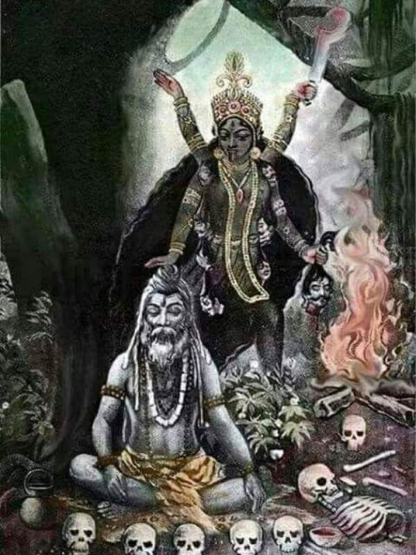 তন্ত্রসাধক কৃষ্ণানন্দ আগমবাগীশ রচিত বৃহৎ তন্ত্রানুসারে দেবীর ধ্যানসম্মত মূর্তিতে দেবীর চোখ রক্তপিঙ্গল বর্ণের। চুল আলুথালু। দেহ শুকনো, ভয়ঙ্কর। দেবীর বাঁ হাতে থাকে মদ ও মাংসে ভরা পাত্র।