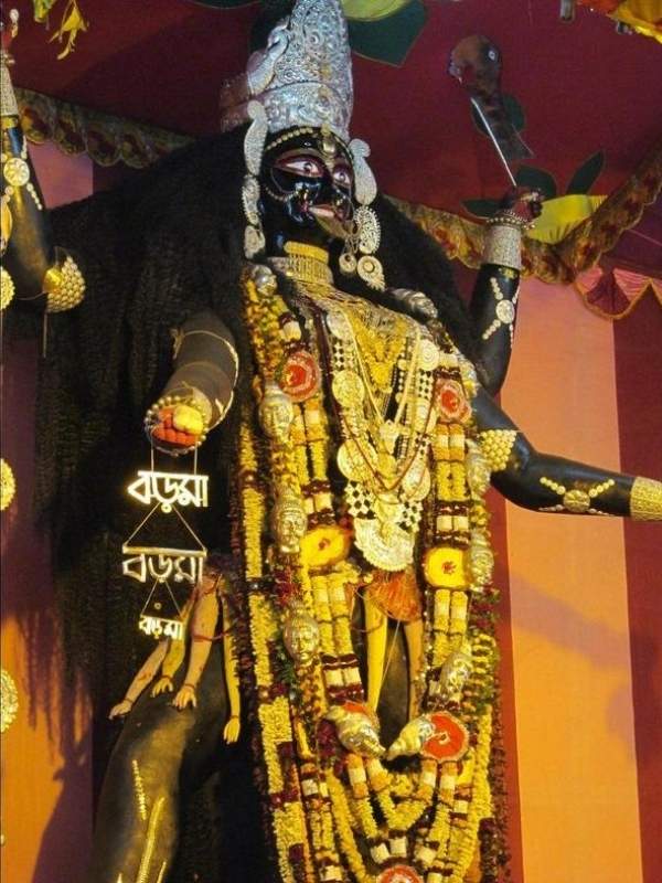 করোনার আগে কালীপুজো ও দীপাবলিতে এই পুজো দেখতে দিনে প্রায় ৬০ হাজার ভক্তের সমাগম হয়েছিল।  এক এক জায়গায় পুজো পান কালীর এক এক রূপ। পশ্চিমবঙ্গের অন্যান্য জায়গায় প্রধানত নীল বর্ণের কোমল স্নিগ্ধ মাতৃমূর্তির পুজোই হতে দেখা যায়।