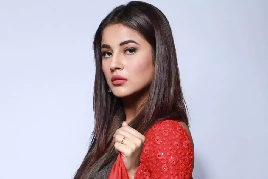 শরীরচর্চা এবং ডায়েটে কোনও খামতি রাখতেন না শেহনাজ।