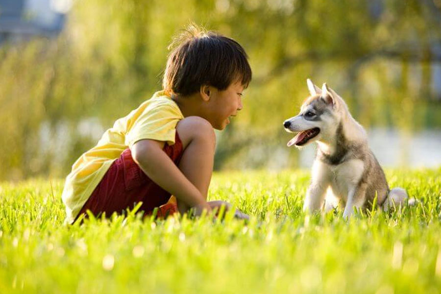 চারিত্রিক বৈশিষ্ট্যেই নয়, মিল ছিল তাঁদের পোষ্যের ক্ষেত্রেও। দু’জনেই কুকুর পুষতেন। তাঁরা দু’জনেই তাঁদের পোষ্যের নাম রেখেছিলেন ‘টয়’।