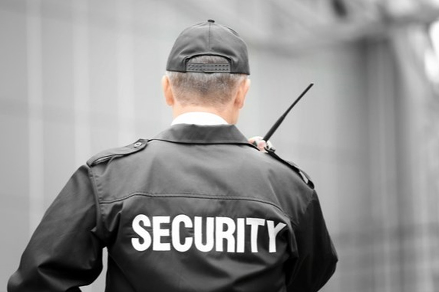 পেশাগত দিক থেকেও মিল ছিল দুই ভাইয়ের। দু’জনেই নিরাপত্তা বিভাগে কর্মরত ছিলেন। জিম (স্প্রিঙ্গার) কাজ করতেন ডেপুটি শেরিফ পদে। জিম (লেওয়িস) কাজ করতেন নিরাপত্তা রক্ষী হিসাবে।