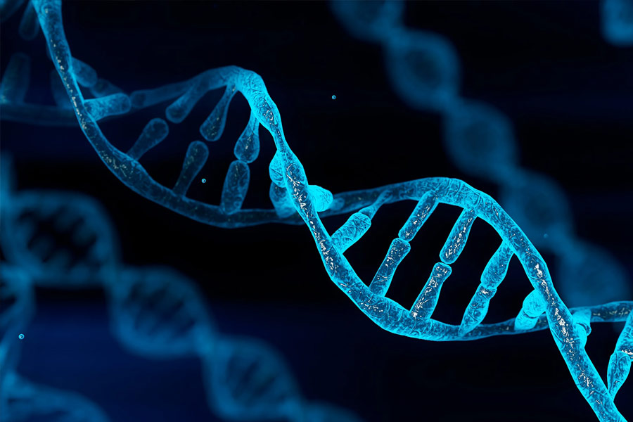 অবশেষে ১৯৭৯ সালের ফেব্রুয়ারি মাসে দেখা করেন দুই ভাই। বহু ক্ষণ বার্তালাপও চলে তাঁদের মধ্যে। তাঁদের এই অদ্ভুত মিলের কথা জানাজানি হলে আমেরিকার ইউনিভার্সিটি অফ মিনেসোটার গবেষক থমাস বোকার্ড তাঁদের ডিএনএ থেকে শুরু করে মস্তিষ্ক-তরঙ্গের পরীক্ষা করেন।