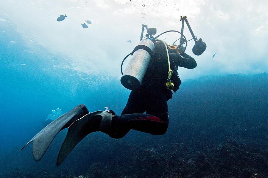 ২০১৩ সাল। নিউ জার্সির গভীর সমুদ্রে নামলেন পল হেপলার। তিনি পেশায় ডুবুরি। ম্যাগনেটোমিটার নিয়ে আটলান্টিক মহাসাগরের গভীরতা মাপতেই নেমেছিলেন পল।