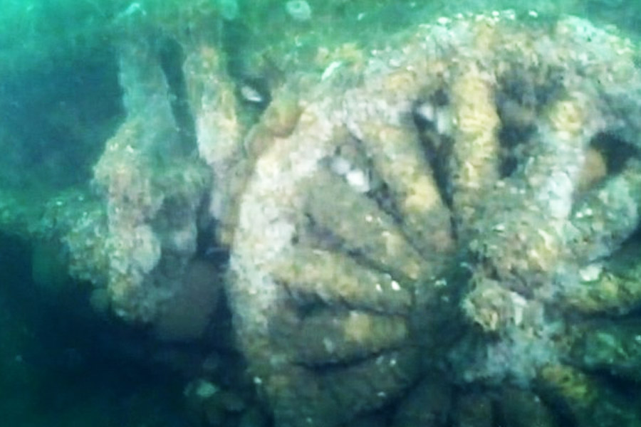 নিউ জার্সির লং ব্রাঞ্চ উপকূল থেকে আট কিলোমিটার দূরে এই রেল ইঞ্জিন দু’টি পাওয়া গিয়েছিল।