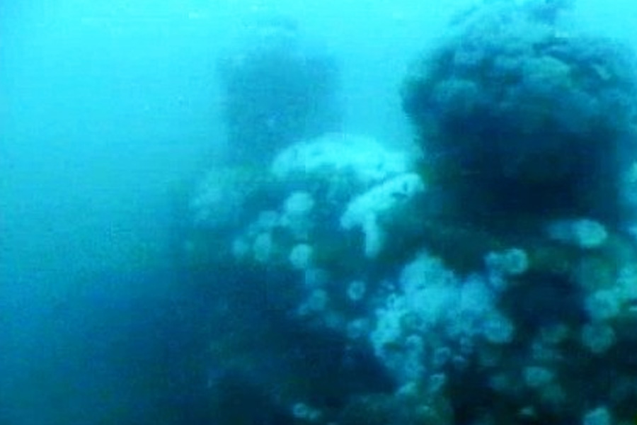 ইতিহাসের পাতায় এই বিষয়ে কোনও তথ্য থাকতে পারে ভেবে ইতিহাসবিদেরা খোঁজ নেন। কিন্তু পাওয়া গেল না কিছুই।