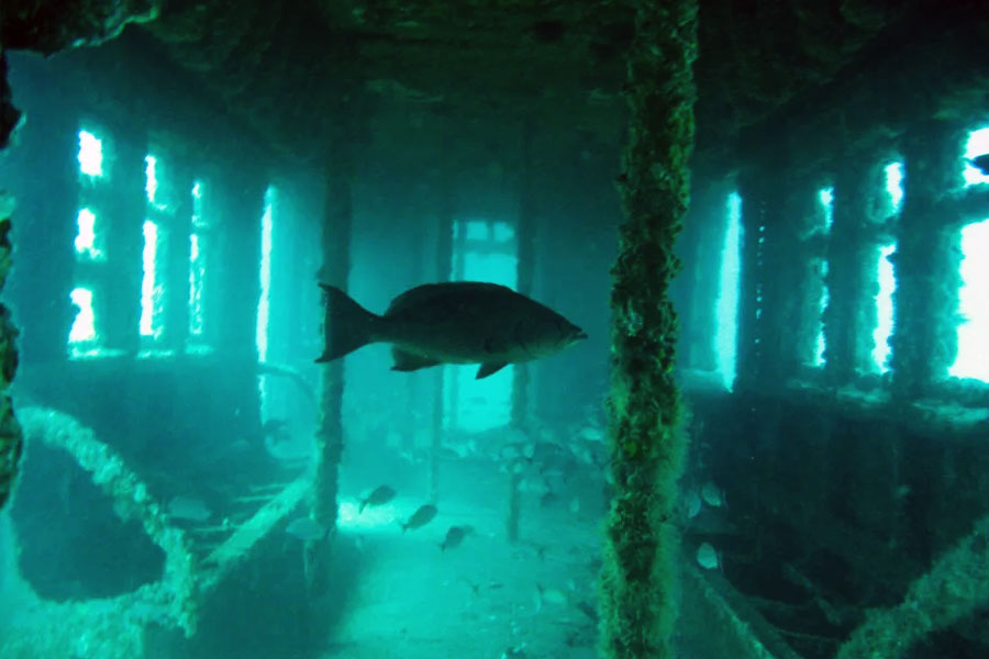 লোকোমোটিভের যে মডেলটি পাওয়া গিয়েছিল, সেটি খুব সহজলভ্যও ছিল না। ক্লাস ২-২-২-টি মডেলের এই লোকোমোটিভটি খুব কম সময়ের জন্য তৈরি করা হয়েছিল।