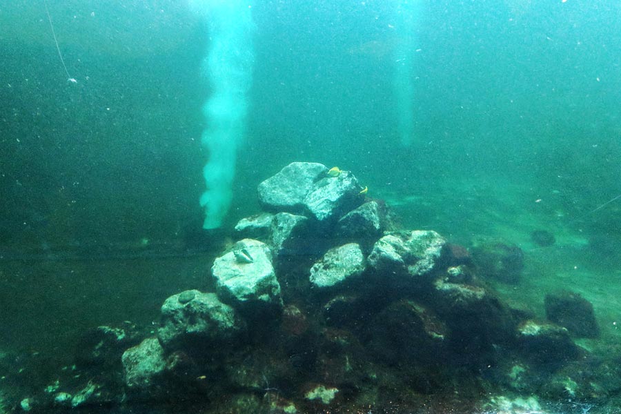 নিউ জার্সি ট্রান্সপোর্টেশন মিউজিয়ামের তরফে এই দু’টি রেল ইঞ্জিন পরীক্ষা করা হয়েছে।