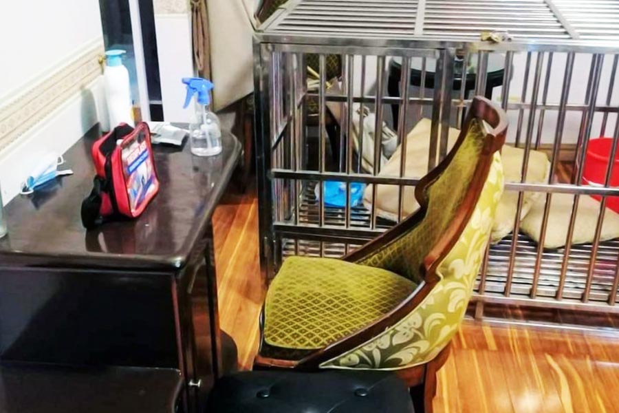 ঘটনাস্থল থেকে উদ্ধার হয় একটি স্টিলের কুকুরের খাঁচা। 