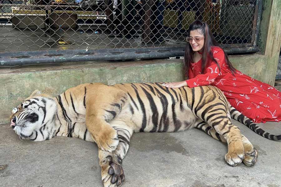 বৈশালীর বয়স হয়েছিল ৩০ বছর। ছোট পর্দায় তাঁর কাজ প্রশংসিতও হয়েছে বার বার। যদি এটা আত্মহত্যা হয়, তবে কেন এই বয়সে এমন পথ বেছে নিলেন অভিনেত্রী, স্পষ্ট নয়।