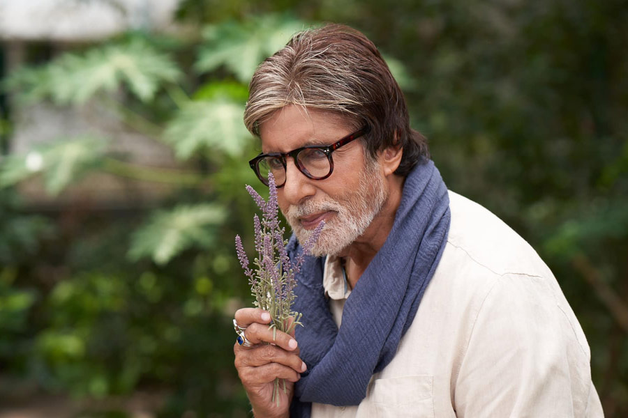 শুধু হিন্দি ছবিতেই নয়, গুজরাতি ছবিতেও অভিনয় করেছেন অমিতাভ। চলতি বছরের অগস্ট মাসে ‘ফক্ত মহিলাও মাতে’ ছবিতে অতিথি শিল্পী হিসাবে অভিনয় করতে দেখা গিয়েছে ‘বিগ বি’কে। যশ সোনি এবং দীক্ষা যোশির মতো গুজরাতি তারকারাও এই ছবিতে অভিনয় করেছেন। 