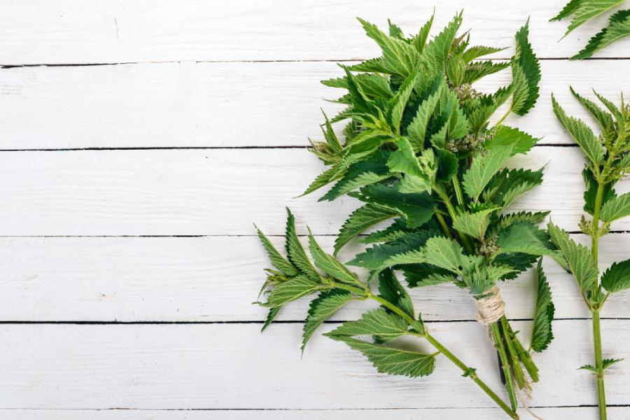  কিডনিতে পাথর জমলেও এই পাতার চা খেলে উপকার পেতে পারেন।