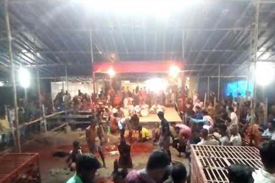 মালদা জেলার এই পুজোকে ঘিরে বেশ গমগম করে ওঠে হবিবপুর ও তার আশেপাশের এলাকা। ভক্ত সমাগম হয় বহু দূর দূর থেকেও। মেলা চলে সাত দিন ধরে।