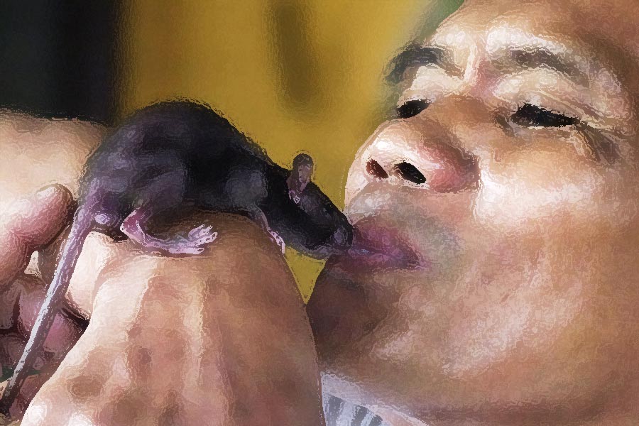 কখনও কখনও গুরু রোশের নির্দেশে একে অপরের মলও খাদ্য হিসাবে গ্রহণ করতেন। কাঁচা ইঁদুরও খেতে হত মাঝেমধ্যে। রোশের নির্দেশ অমান্য করলে তিনি বেল্ট বা হাতুড়ি দিয়ে মারধর করতেন, মাথার চুল ছিঁড়ে ফেলতেন। সদস্যদের গায়ের উপর মলত্যাগও করতেন।