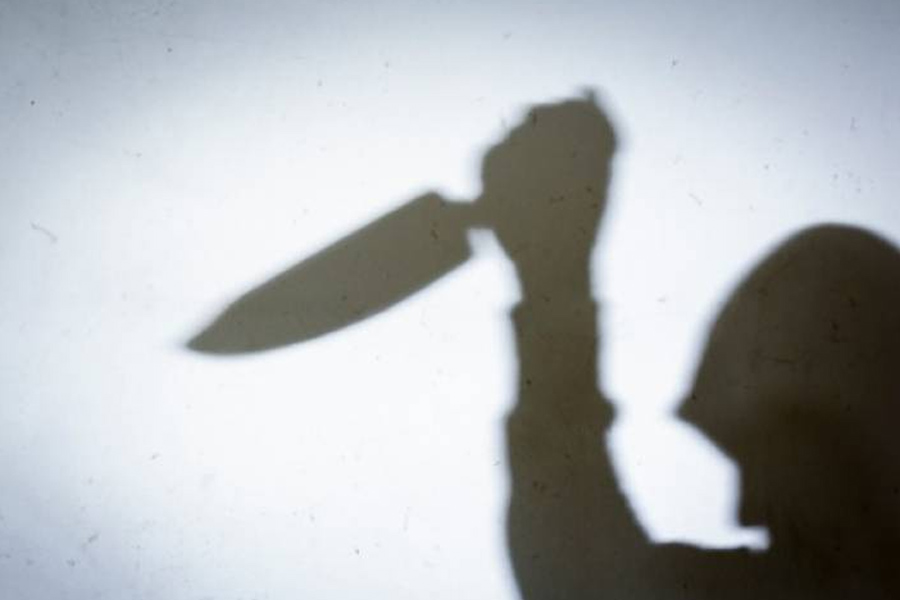 কে আসল খুনি, তা নিয়ে তদন্ত শুরু হওয়ার আগেই দোষ স্বীকার করে নেন এক আসামি। ৬০ বছর বয়সি ম্যাথিউ জেরার্ড ম্যাকডোনাল্ড নামের এক অপরাধী খুন করেন রোশকে। যে ছুরি দিয়ে তিনি রোশকে খুন করেন, তা-ও পুলিশকে দেন তিনি।