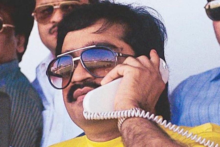 ২০২২ সালের গোড়া থেকেই সেলিমের জীবনে কাল নেমে আসে। দাউদ এবং তাঁর ঘনিষ্ঠ সহযোগীদের বিরুদ্ধে বেআইনি কার্যকলাপ (প্রতিরোধ) আইনে মামলা রুজু করে এনআইএ। মুম্বইতে ডি-কোম্পানির সঙ্গে যোগাযোগ থাকা ব্যক্তিদের এক এক করে গ্রেফতার করতে শুরু করে তদন্তকারী সংস্থা। গ্রেফতার হন সেলিমও।   