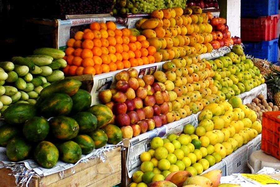 দশম শ্রেণি পর্যন্ত সইফি হাই স্কুল থেকে পড়াশোনা করার পর একাদশ এবং দ্বাদশ শ্রেণির পড়াশোনার জন্য বুরহানি কলেজে ভর্তি হন সেলিম। কিন্তু দ্বাদশ শ্রেণির পরীক্ষায় অকৃতকার্য হওয়ার পর তিনি পড়াশোনা ছেড়ে দেন। একটি ফলের দোকানে কাজ শুরু করেন সেলিম। পরে নিজের একটি ফলের দোকানও খোলেন তিনি।